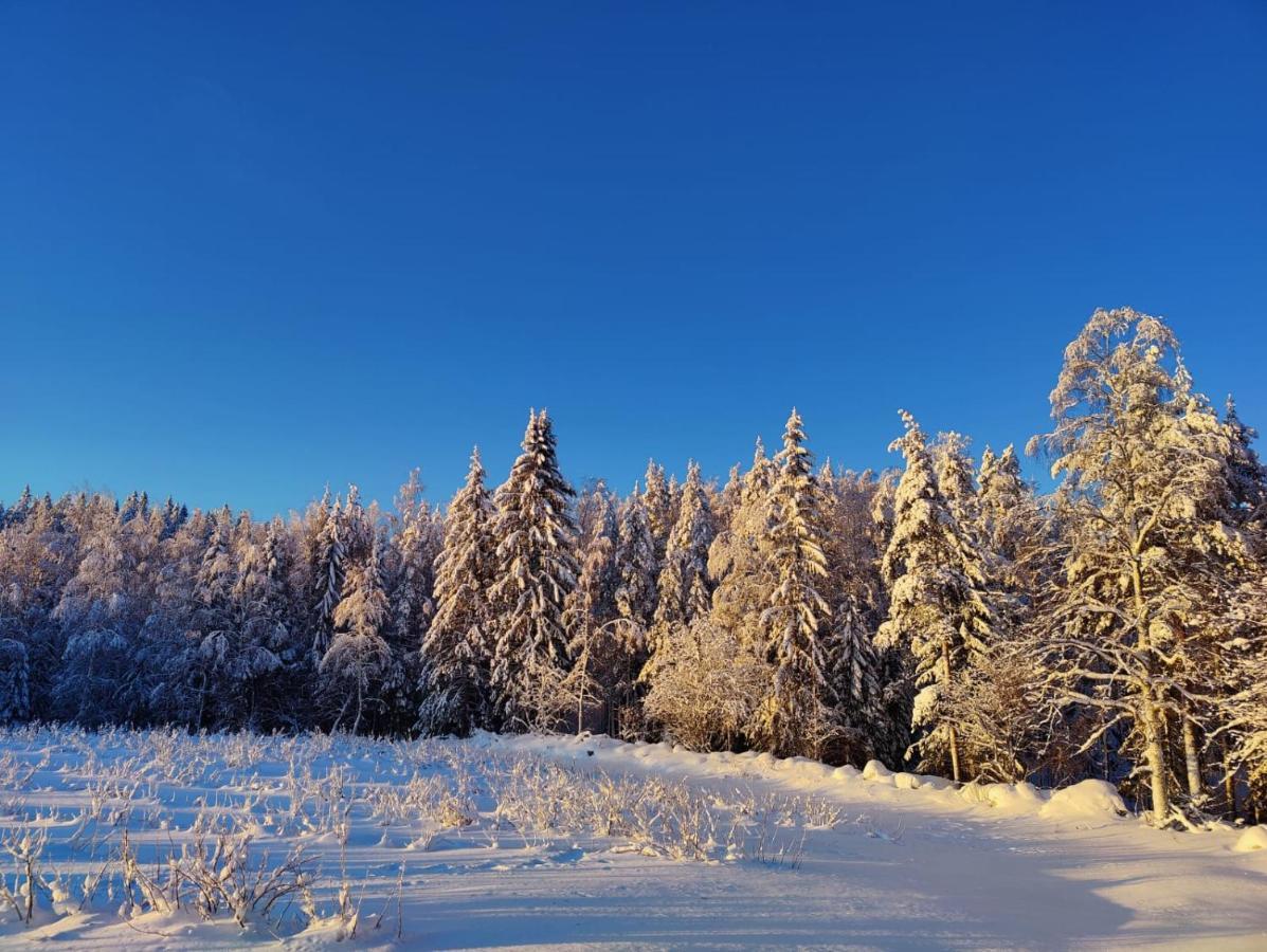 Maatilamatkailu Jaenisvaara Koli (Lieksa)