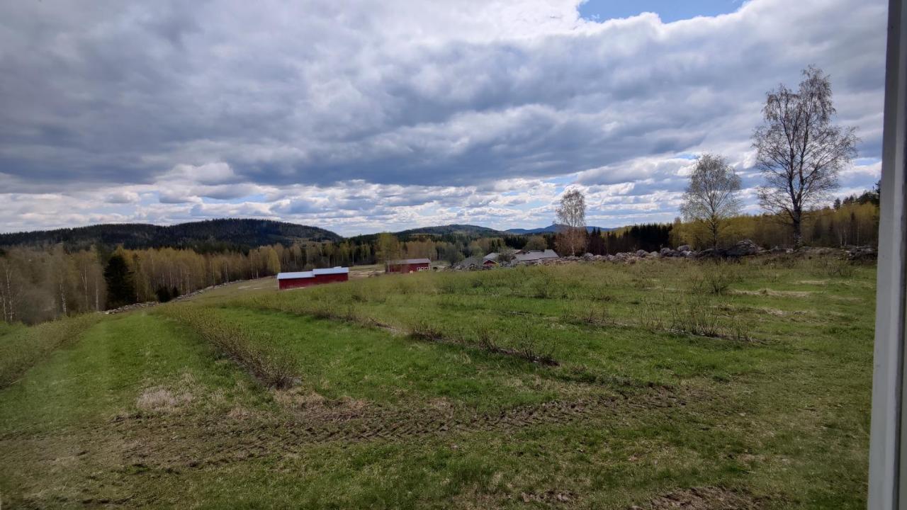 Chalet Maatilamatkailu Jaenisvaara Koli (Lieksa)