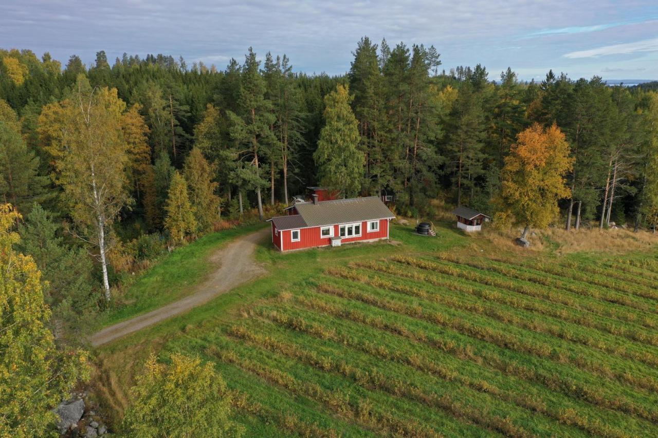 Maatilamatkailu Jaenisvaara Шале Колинкюла