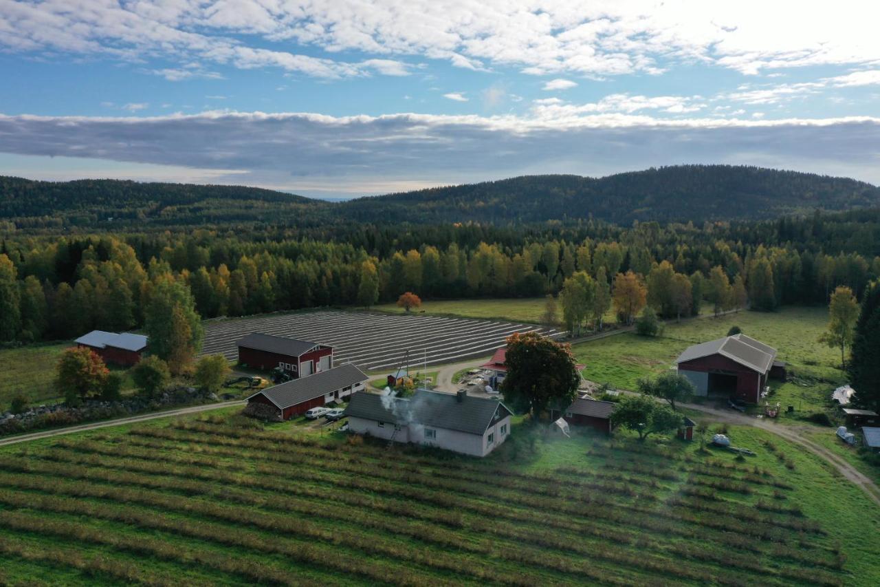 Maatilamatkailu Jaenisvaara Chalet *