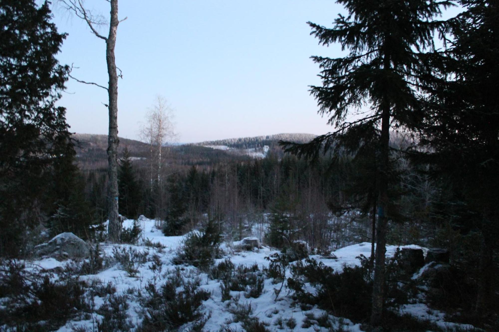 Maatilamatkailu Jaenisvaara Chalet *