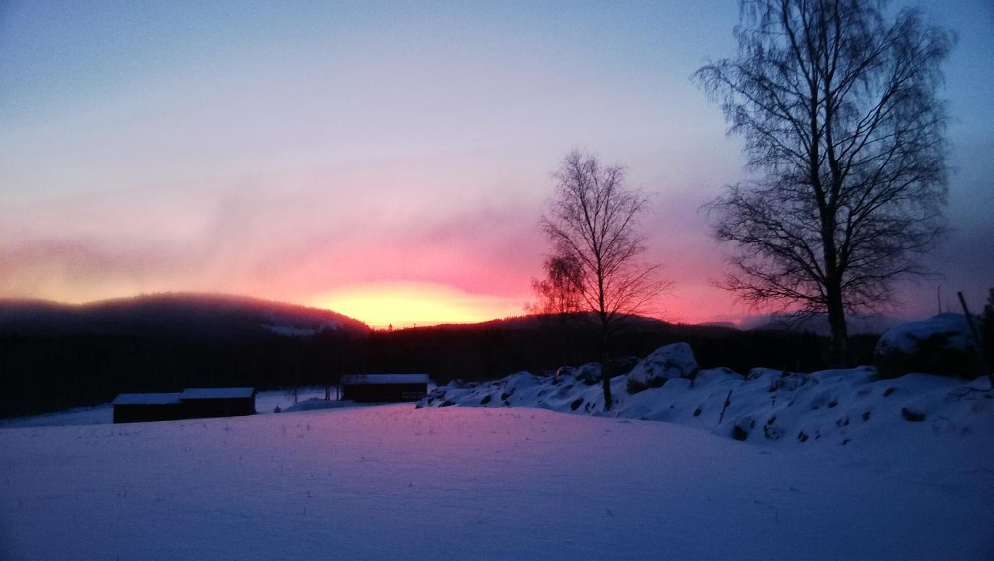 Chalet Maatilamatkailu Jaenisvaara *