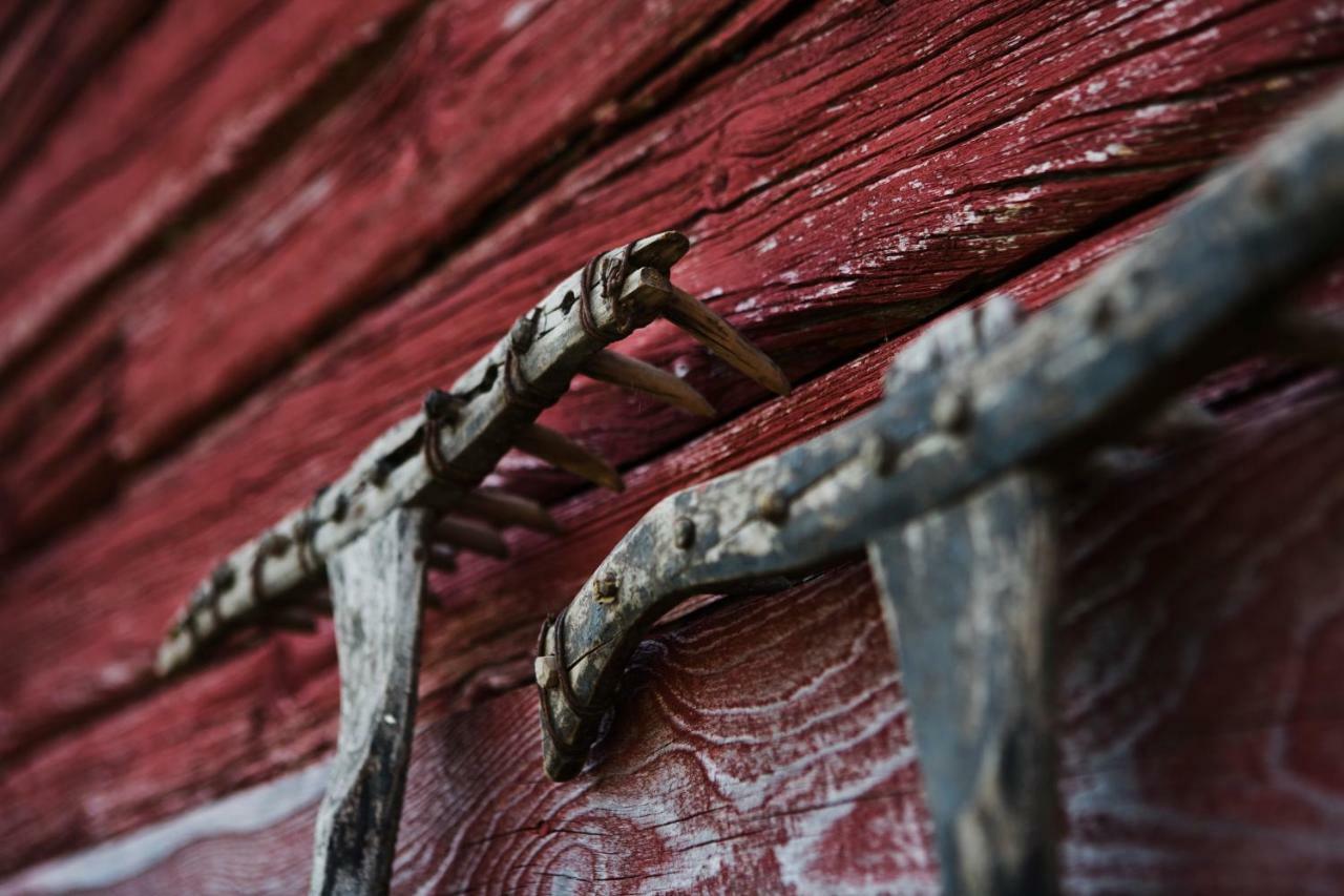 Chalet Maatilamatkailu Jaenisvaara Kolinkylä