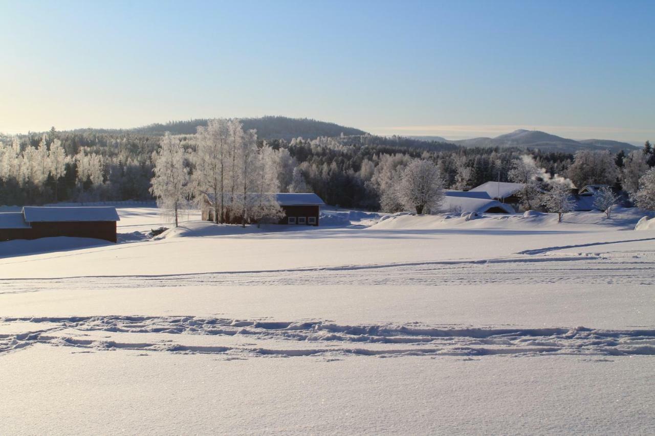 Maatilamatkailu Jaenisvaara Koli (Lieksa)