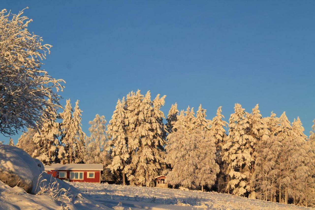 Chalet Maatilamatkailu Jaenisvaara Kolinkylä