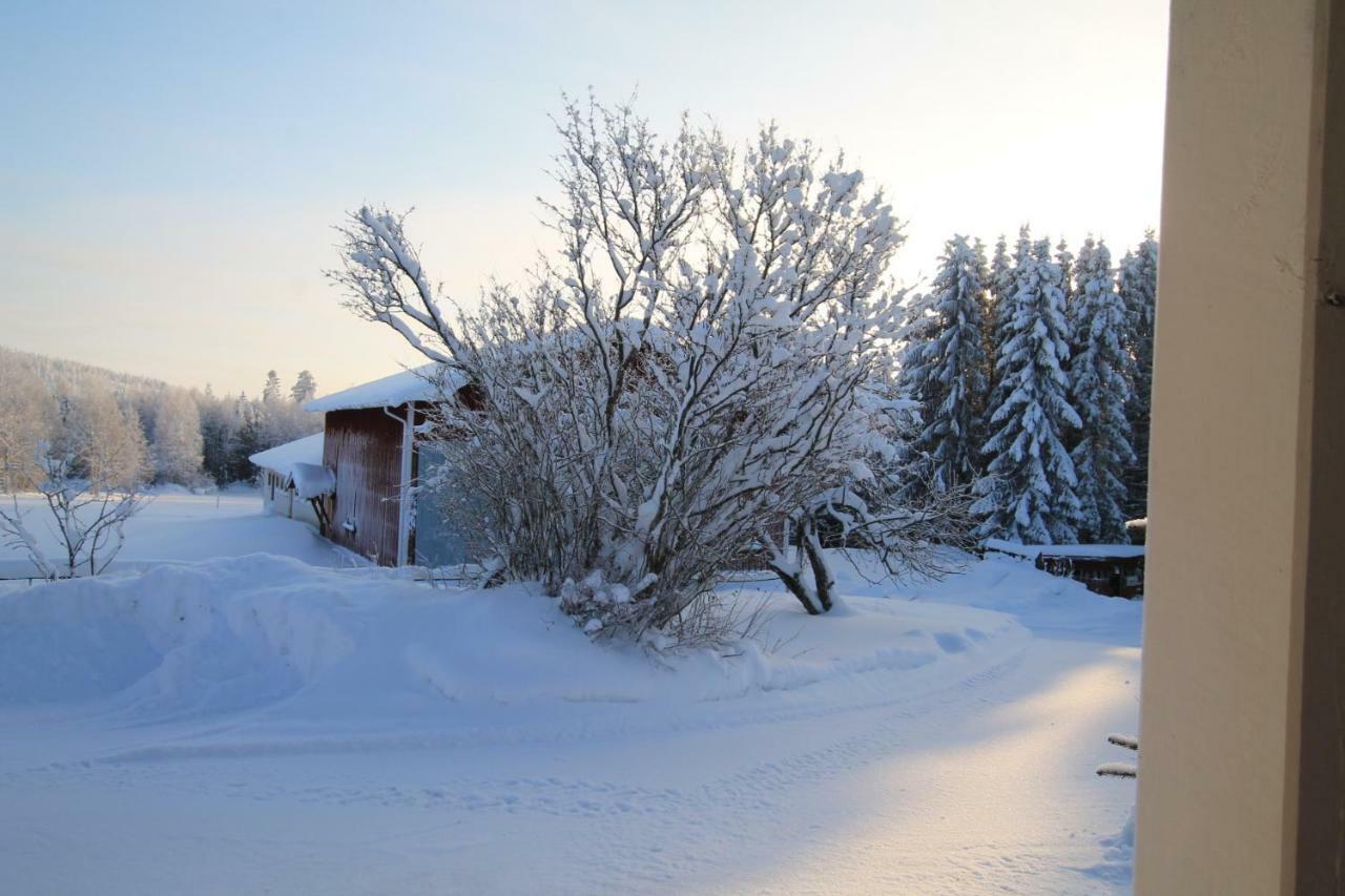 Maatilamatkailu Jaenisvaara Koli (Lieksa)