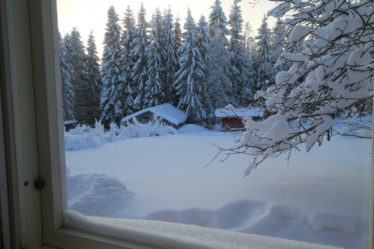Chalet Maatilamatkailu Jaenisvaara