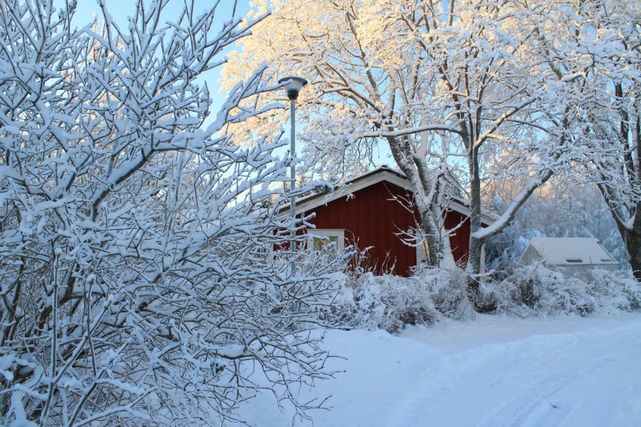 Maatilamatkailu Jaenisvaara