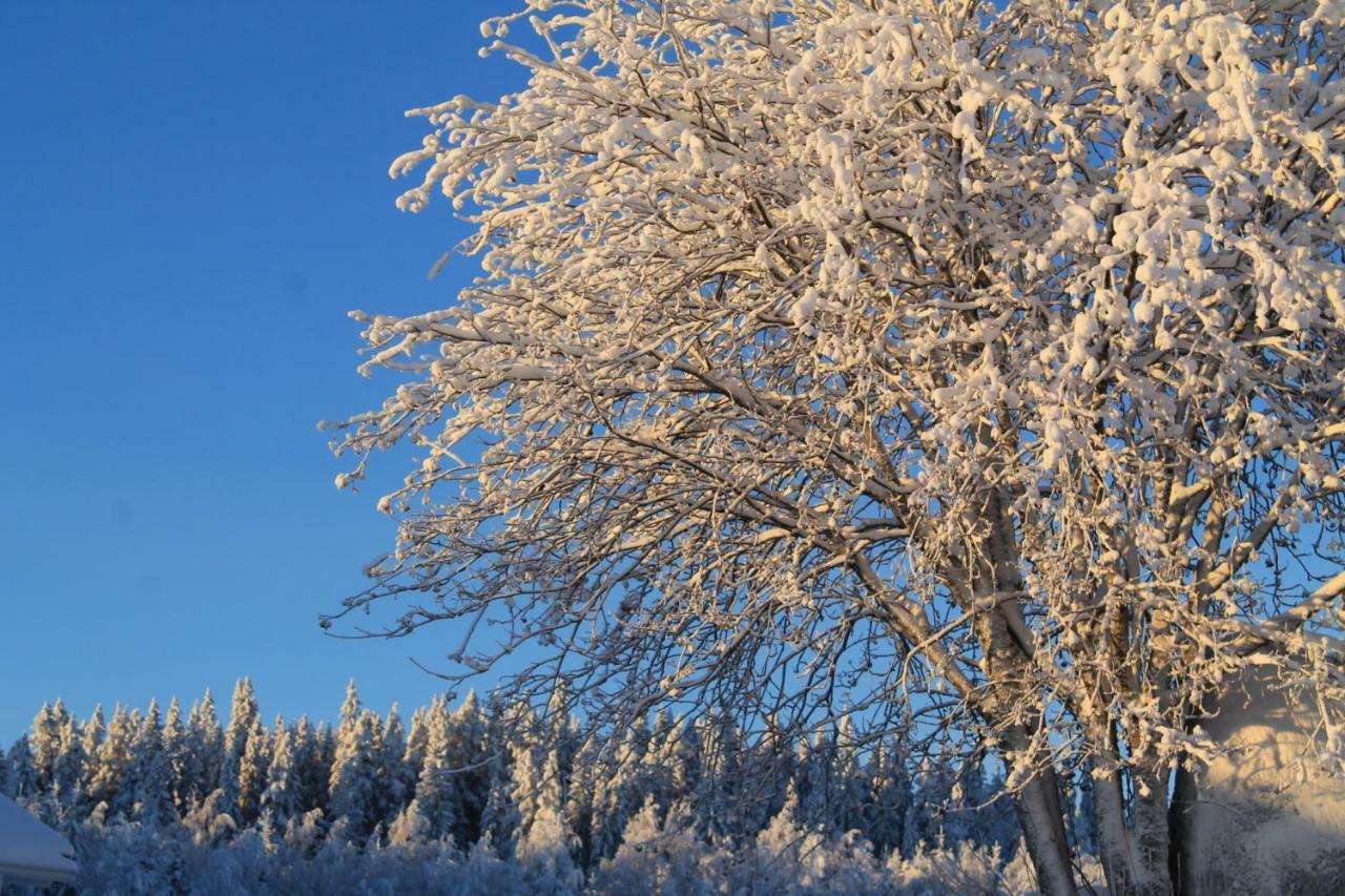 Maatilamatkailu Jaenisvaara Шале