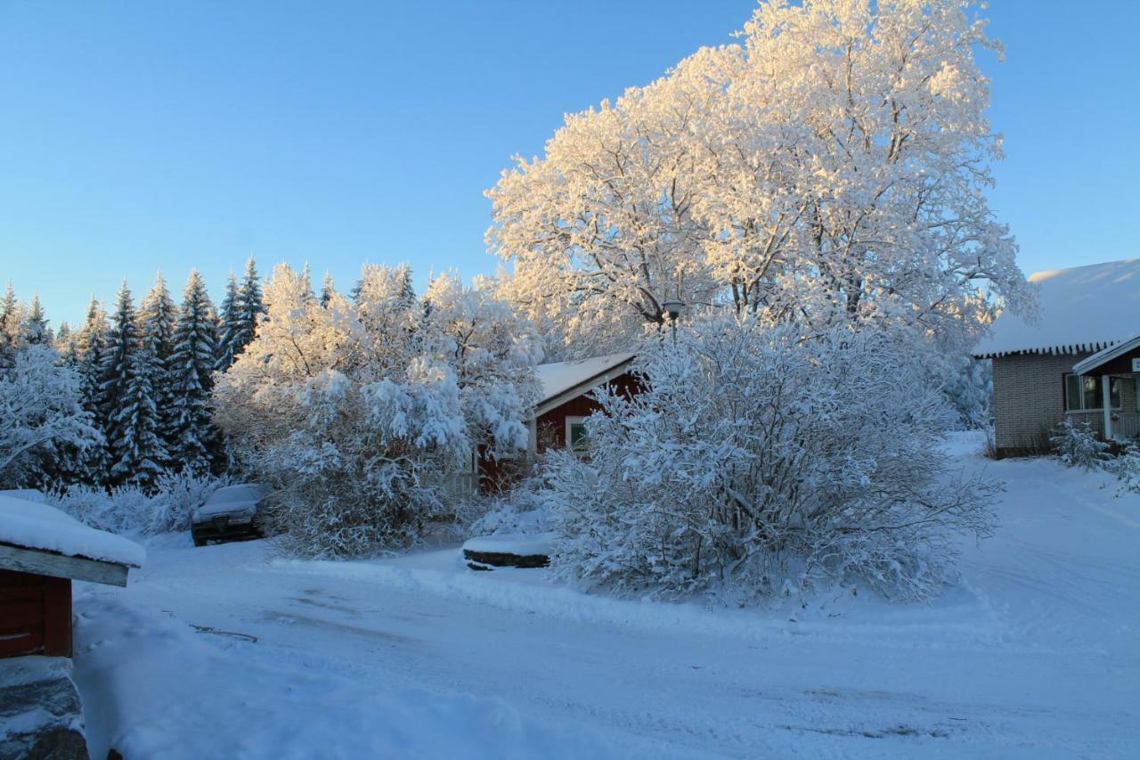 Maatilamatkailu Jaenisvaara *