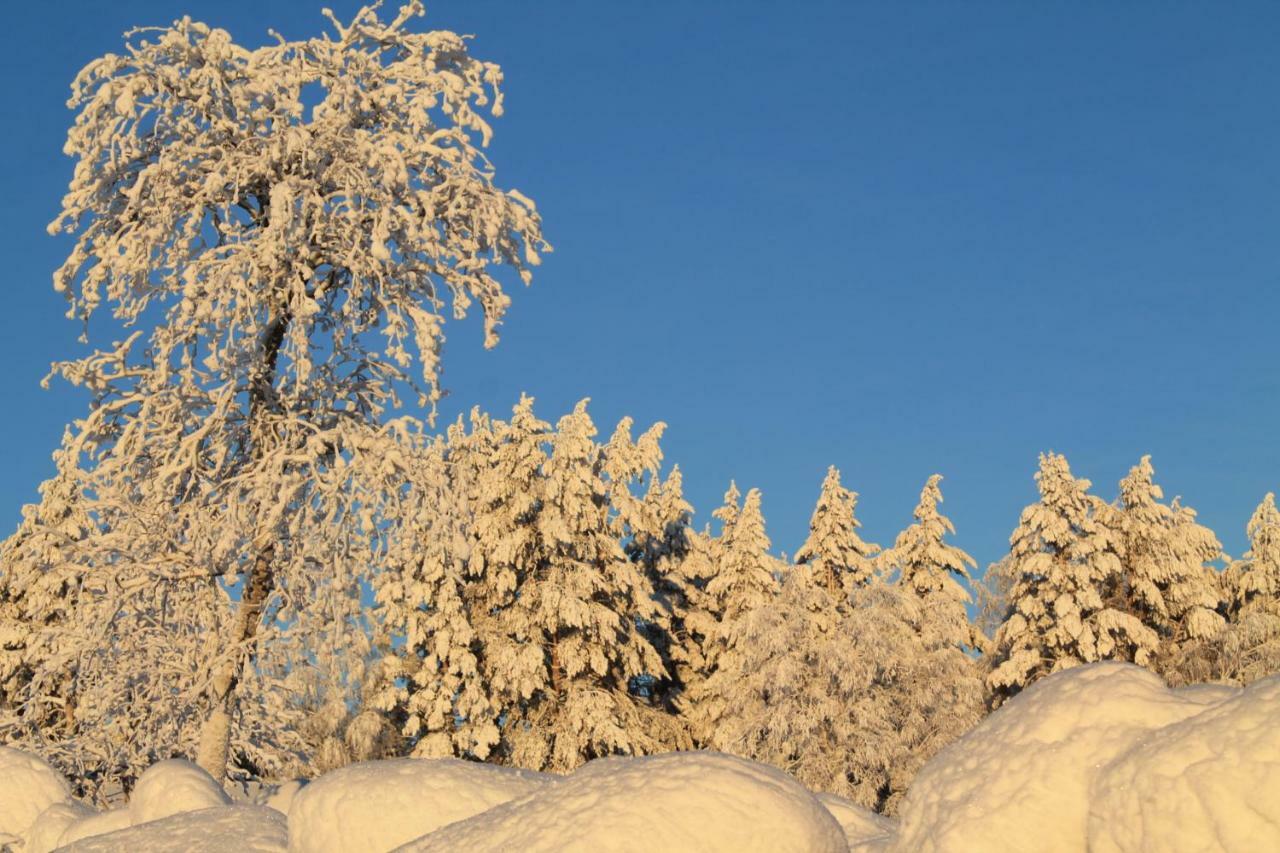 Шале Maatilamatkailu Jaenisvaara