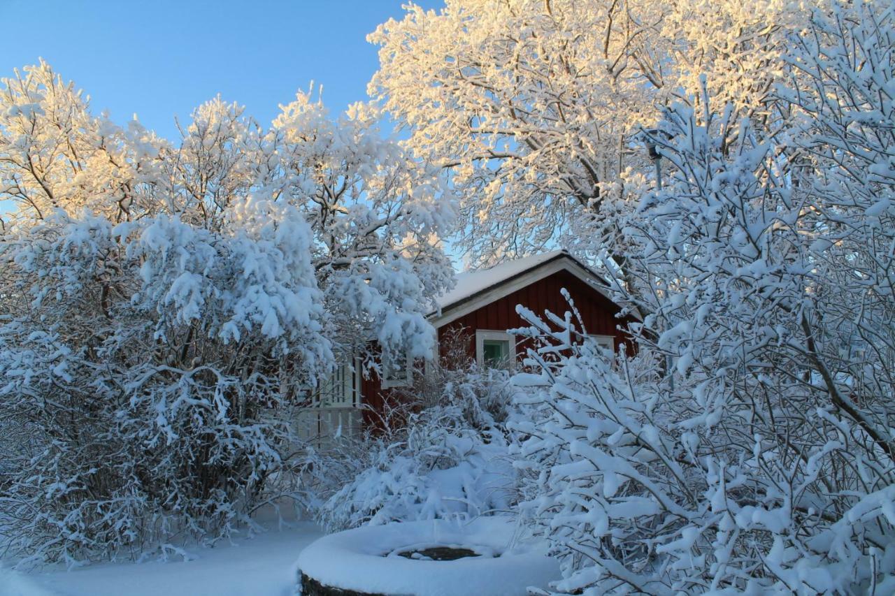 Maatilamatkailu Jaenisvaara Koli (Lieksa)