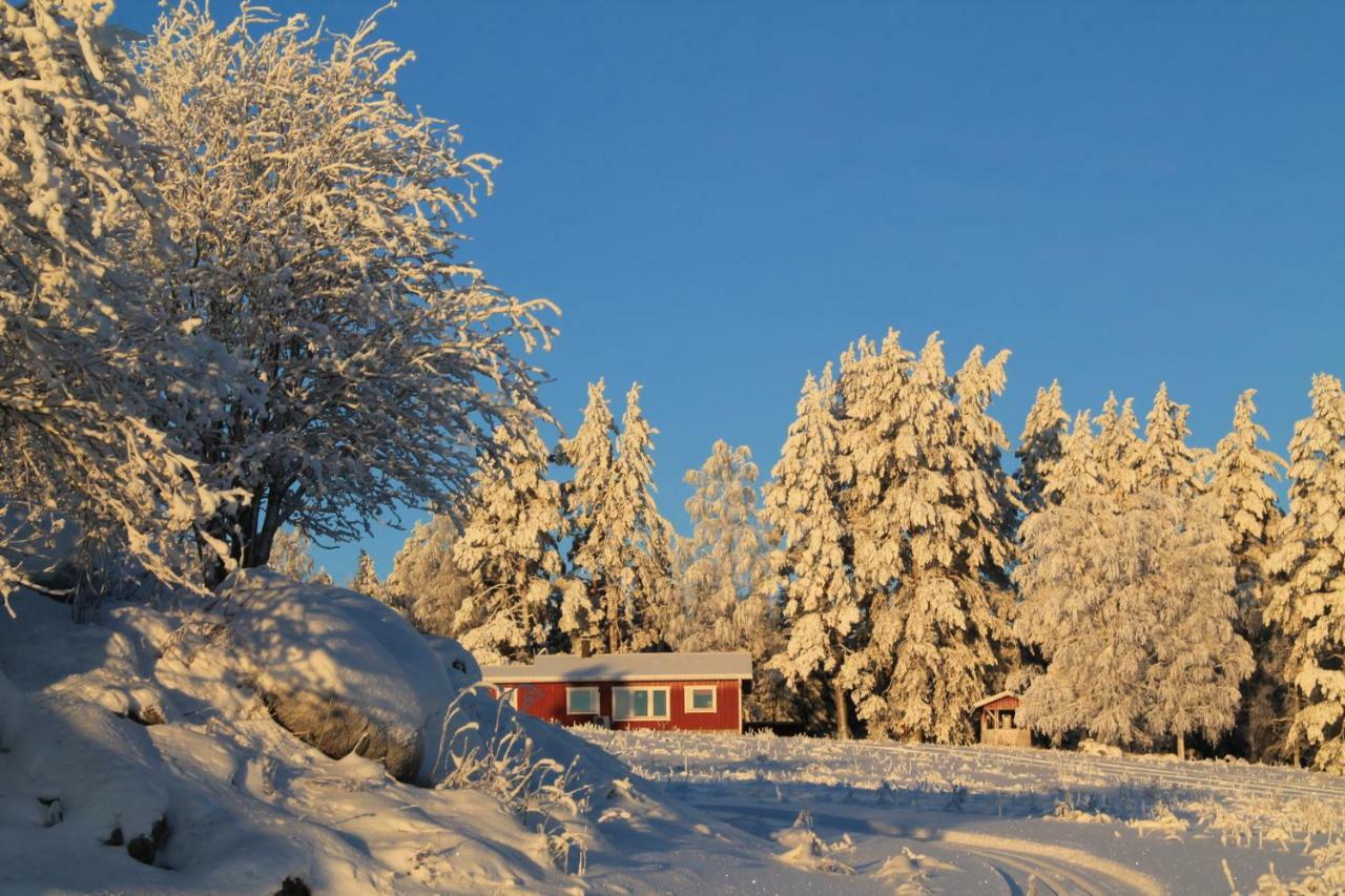 Maatilamatkailu Jaenisvaara * Koli (Lieksa)