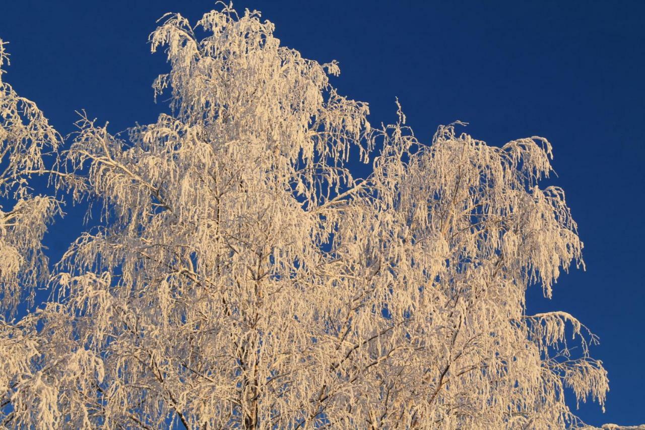 Maatilamatkailu Jaenisvaara * Koli (Lieksa)