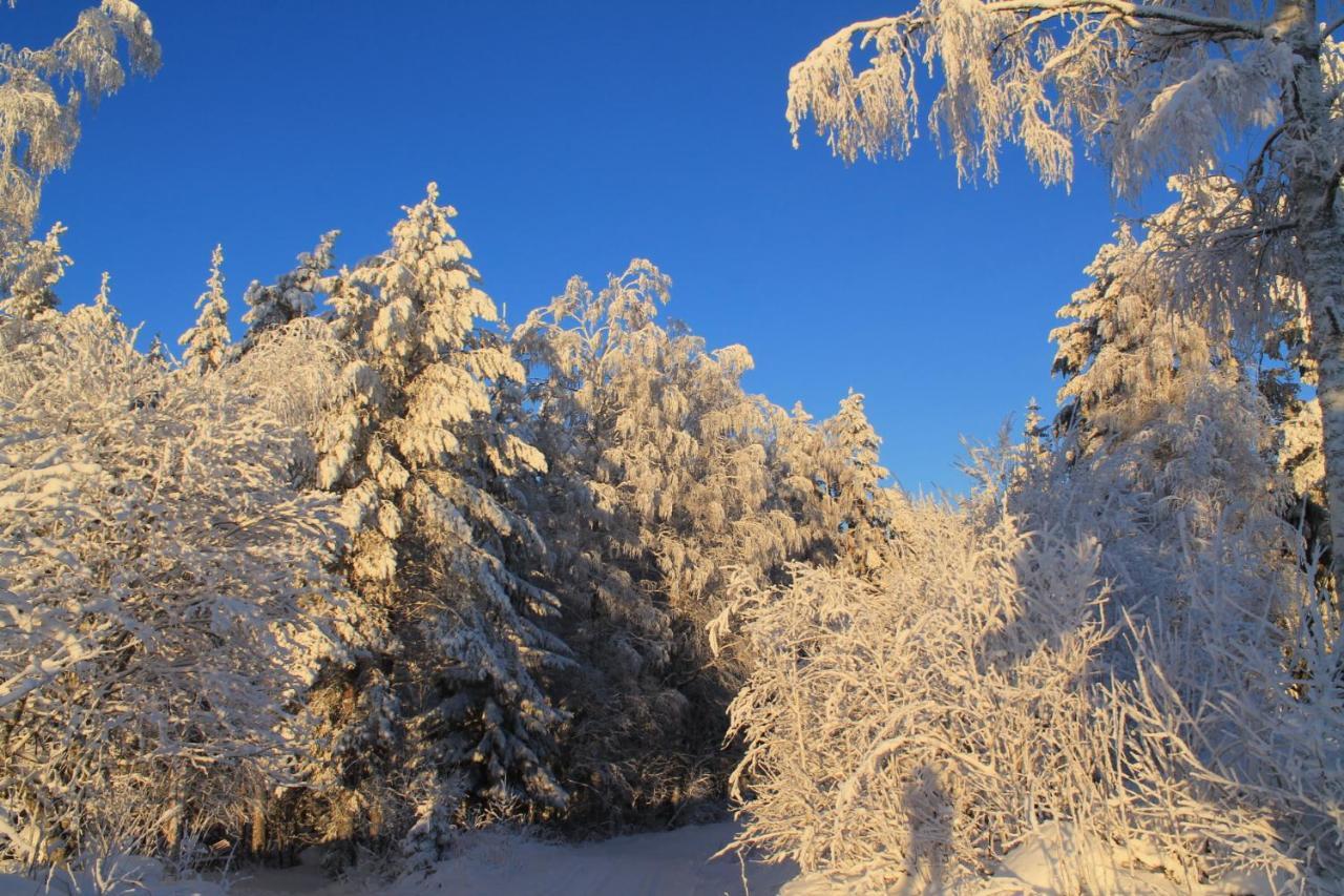 Chalet Maatilamatkailu Jaenisvaara Koli (Lieksa)