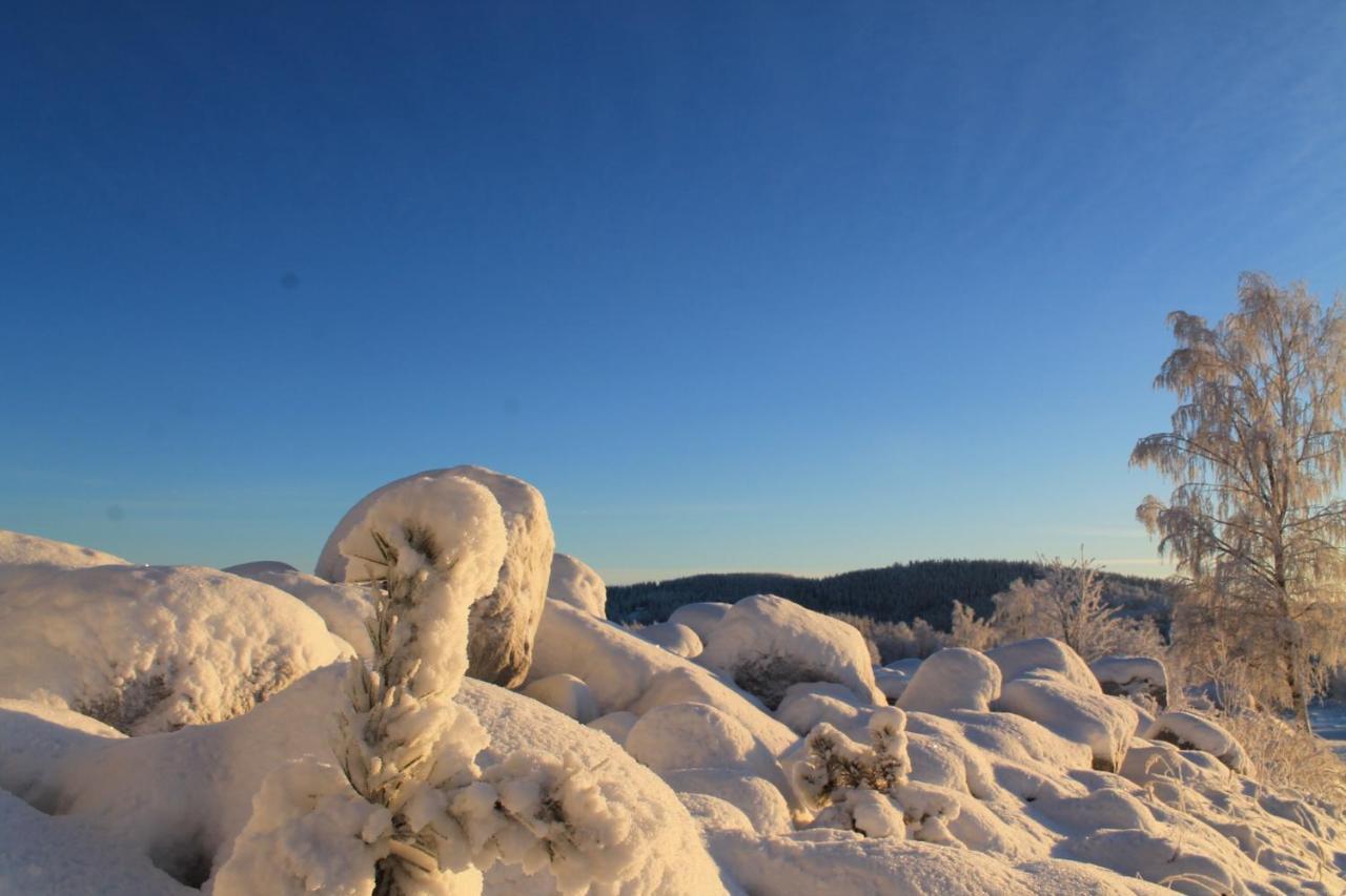 Maatilamatkailu Jaenisvaara *